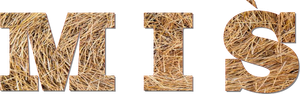 Teddy Bear — Logos 2