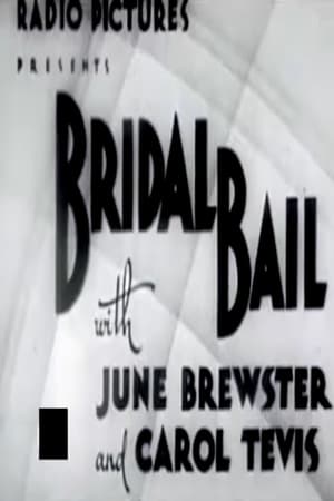 Bridal Bail poster