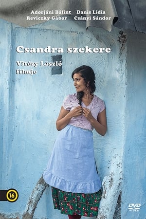 Poster Csandra szekere (2016)