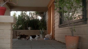 Sem Medo no Coração