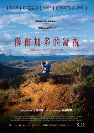 薩爾加多的凝視