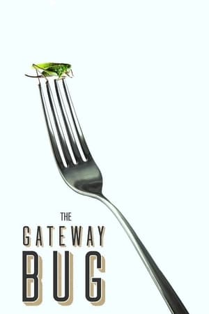 Poster The Gateway Bug 2017