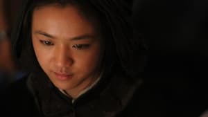 Dragon or Wu xia (2011)