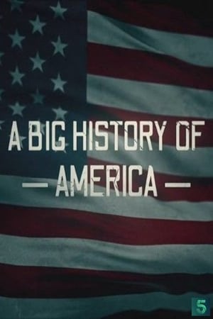 Poster A Big History of America (2020)
