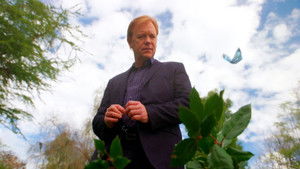 CSI: Miami: 9×15