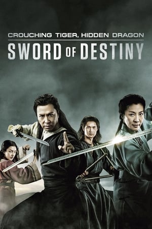 Crouching Tiger, Hidden Dragon: Sword of Destiny - Movie poster