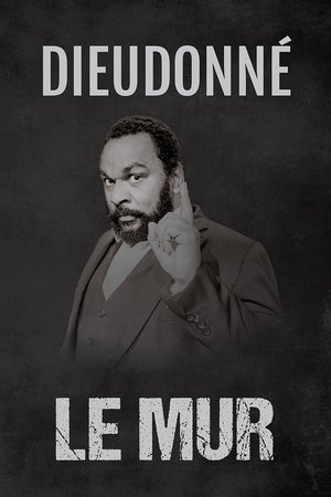 Dieudonné – Le Mur (2013)