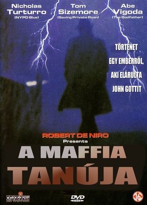 Poster A maffia tanúja 1998
