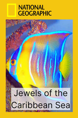 Image Jewels of the Caribbean Sea