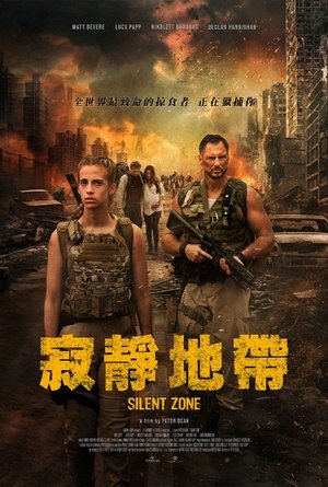 静默地带 (2025)
