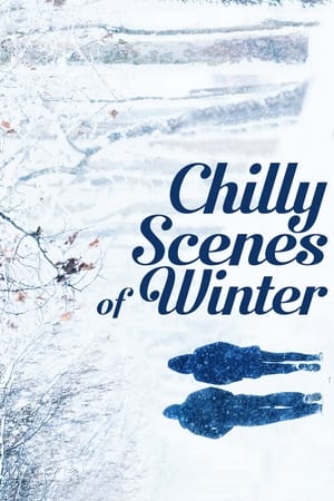 Poster Chilly Scenes of Winter 1979