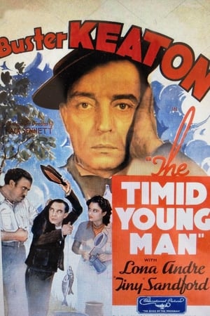 Poster The Timid Young Man 1935