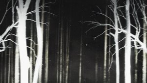 Shelby Oaks (2025) เชลบี้ โอคส์ คลิปเฮี้ยน คดีหลอน