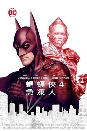 Image 蝙蝠侠与罗宾