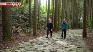 Journeys in Japan: 13×24