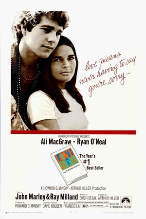 Love Story 1970 1080p BRRip H264 AAC-RBG