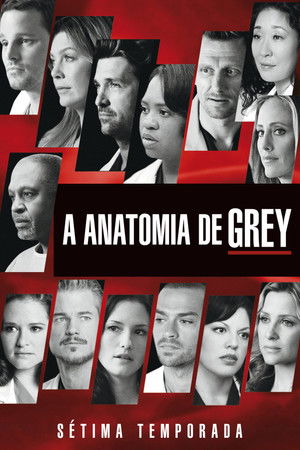 Anatomia de Grey: Temporada 7