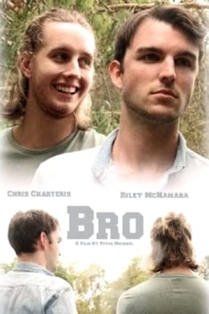 Poster Bro 2016