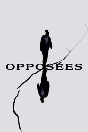 Poster Opposites (2022)