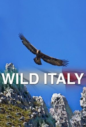 Image Wild Italy