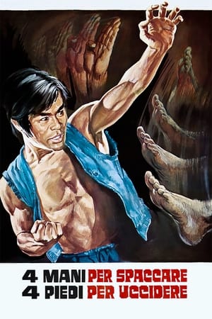 Poster The Kung Fu Brothers (1973)