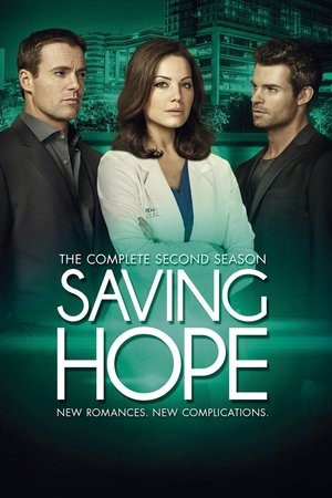 Saving Hope: Kausi 2