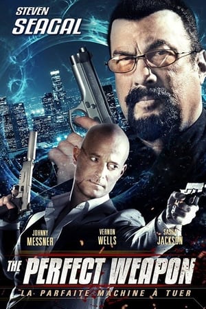 Poster The Perfect Weapon 2016