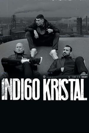 Poster Indigo Crystal (2023)