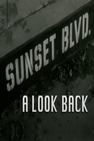 Sunset Boulevard: A Look Back poster