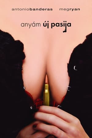 Poster Anyám új pasija 2008