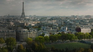 Le Suicide Francais