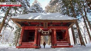 Journeys in Japan: 14×8