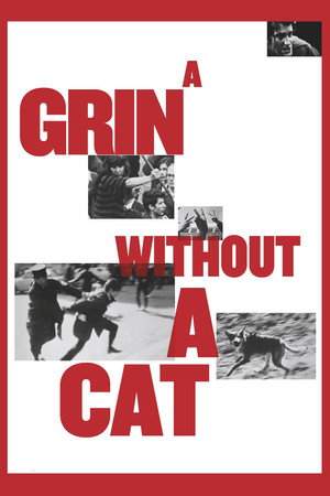 A Grin Without a Cat