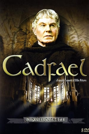 Image Cadfael