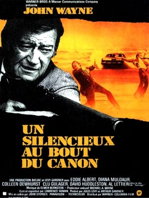 Poster Un silencieux au bout du canon 1974