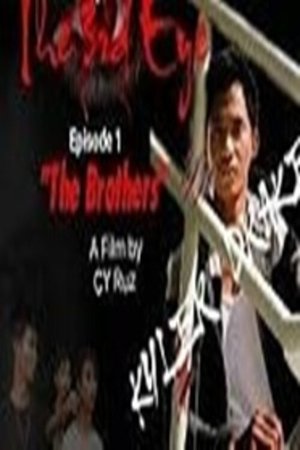 The 3rd Eye movie poster