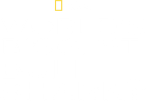 World's Biggest Bull Shark?