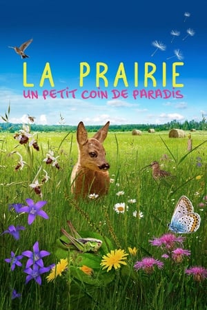 Image La prairie, un petit coin de paradis