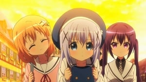 Is the Order a Rabbit?: 2×4