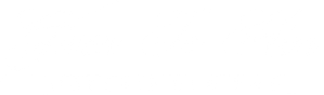 Given To Him: Worship DVD Two