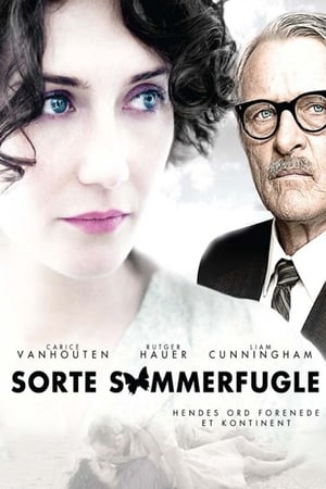 Image Sorte Sommerfugle