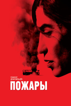 Poster Пожары 2010