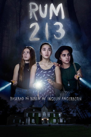 Room 213 18