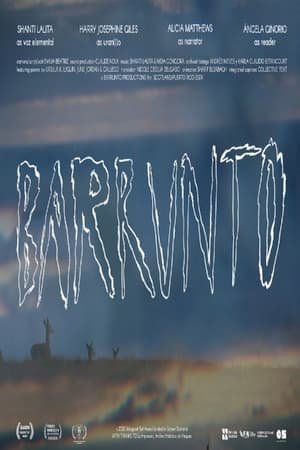 barrunto