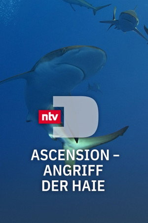 Under Siege – The Sharks of Ascension Island