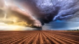 In the Eye of the Storm Season 2 Episode 1 Free Download