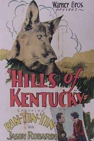 Hills of Kentucky poster