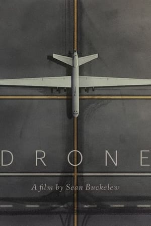 Poster Drone (2022)