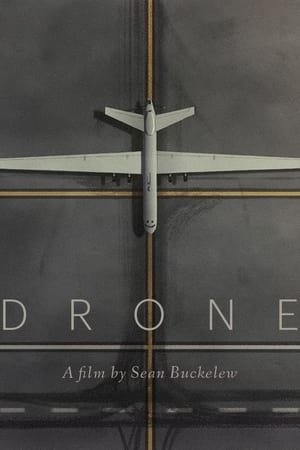 Poster Drone 2022
