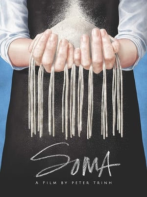 Poster Soma 2024